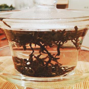 28810276_1691854784204879_260238292_o