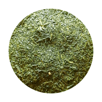 RoundPhoto_Mar082020_114131