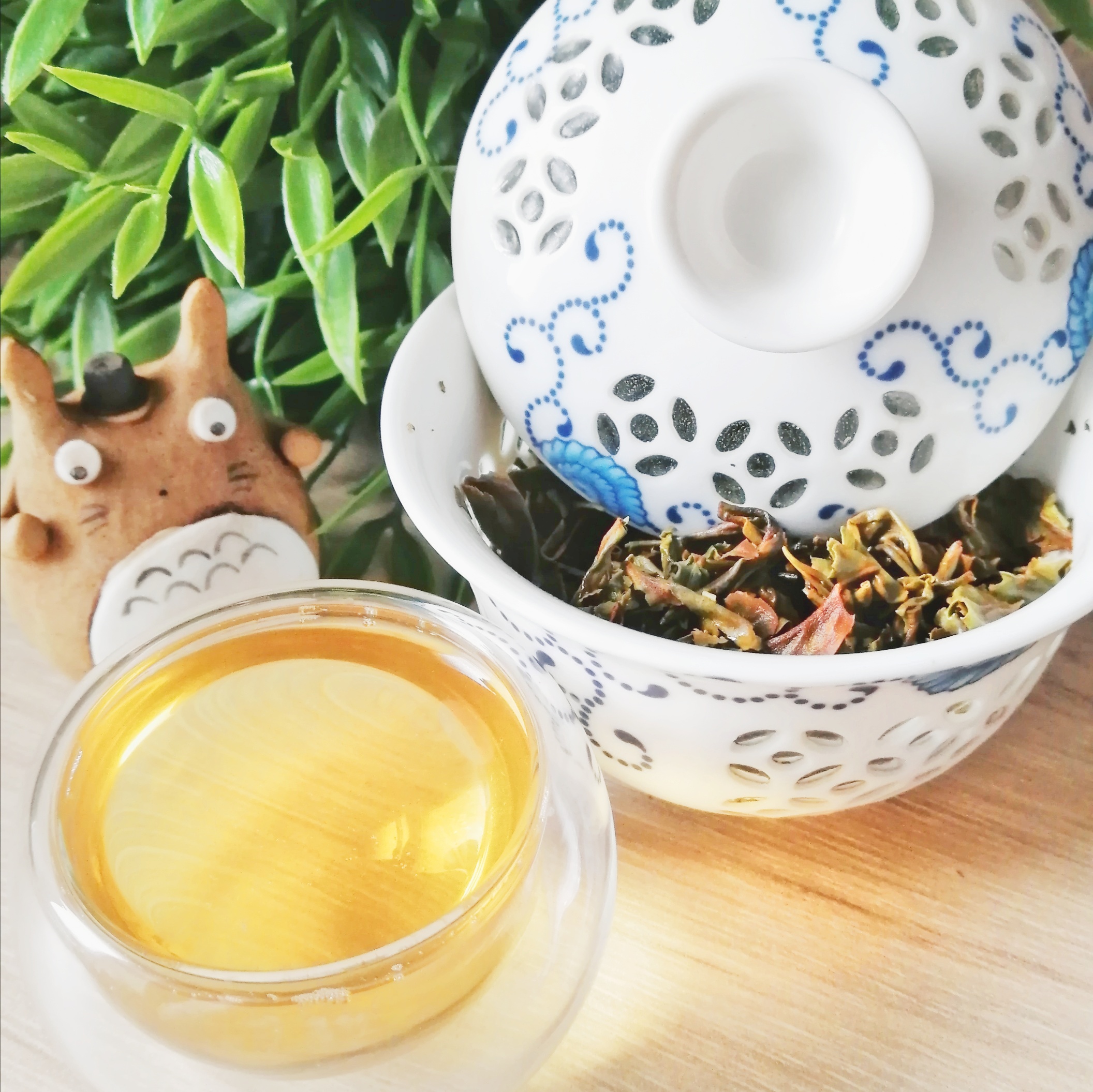 Master Roh Tea Tasting Sessions – Masters Tea – Rohini First Oolong – Kimberley's Kyusu