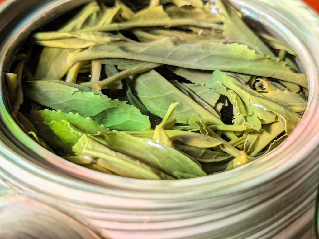 Trying a competition grade Nagareboshi Temomicha for the first&nbsp;time