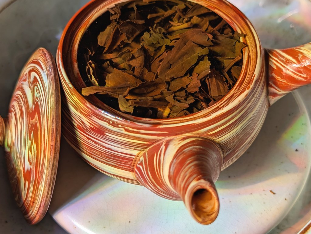 Trying a Japanese Gaba Oolong for the first time